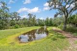 16 Rivulet Street - Photo 31
