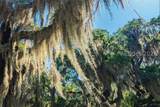 170 Old Haig Point Road - Photo 69