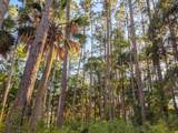 170 Old Haig Point Road - Photo 70