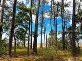 170 Old Haig Point Road - Photo 81