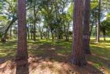 133 Ave Of Oaks - Photo 48