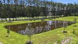 127 Twin Ponds Drive - Photo 49