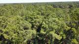 00 Firetower Road - Photo 11