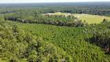 00 Firetower Road - Photo 2