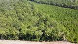 00 Firetower Road - Photo 4