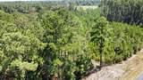 00 Firetower Road - Photo 5