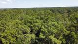 00 Firetower Road - Photo 7