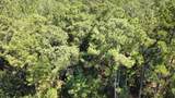 00 Firetower Road - Photo 8