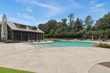 36 Daffodil Farm Road - Photo 63