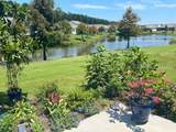 63 Carnation Road - Photo 2