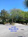 43 Jenkins Island Road - Photo 3