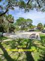 43 Jenkins Island Road - Photo 3