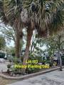 43 Jenkins Island Road - Photo 3