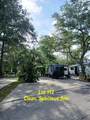 43 Jenkins Island Road - Photo 1