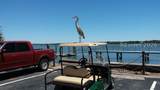 43 Jenkins Island Road - Photo 6