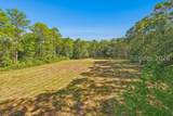 364 Old Palmetto Bluff Road - Photo 12