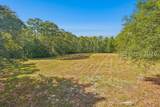 364 Old Palmetto Bluff Road - Photo 15