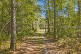 364 Old Palmetto Bluff Road - Photo 4