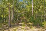 364 Old Palmetto Bluff Road - Photo 8