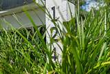 124 Roberts Lane - Photo 7
