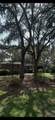 32 Oleander Street - Photo 5