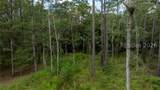 315 Polly Branch Drive - Photo 27
