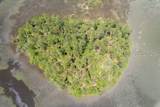 TBD Wimbee Creek Island - Photo 14