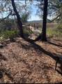 TBD Wimbee Creek Island - Photo 5