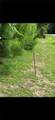 00 Dillon Road - Photo 1