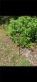 00 Dillon Road - Photo 2