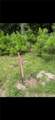 00 Dillon Road - Photo 5