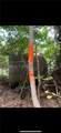 00 Dillon Road - Photo 7