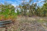 547 Broad River Boulevard - Photo 12