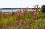 43 Beauregard Boulevard - Photo 9