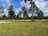 11421 Gillison Branch Road - Photo 7