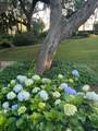 131 Pritchard Street - Photo 30