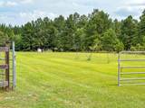 399 Pineland Estates Road - Photo 2