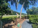 42 Plantation Park Drive - Photo 7