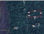 101 Barnaby Bluff - Photo 5