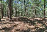 2 Volunteers Ridge - Photo 6