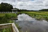 14 Stoney Landing Road - Photo 3