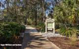 51 Winding Oak Drive - Photo 31