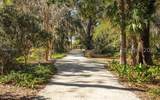 51 Winding Oak Drive - Photo 32