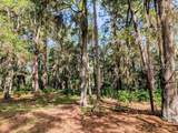 48 Volunteers Ridge - Photo 2