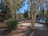 243 Turkey Oak Drive - Photo 10