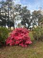 50 Scipio Road - Photo 80