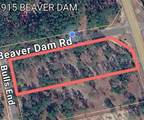 TBD Beaver Dam Creek Road - Photo 10