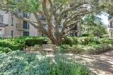 7 Shelter Cove Lane - Photo 44