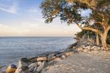33 Oyster Reef Drive - Photo 49