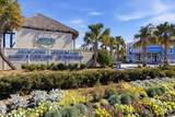 595 Margaritaville Avenue - Photo 35